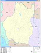 Laguna Niguel  Wall Map Color Cast Style